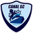 القناة